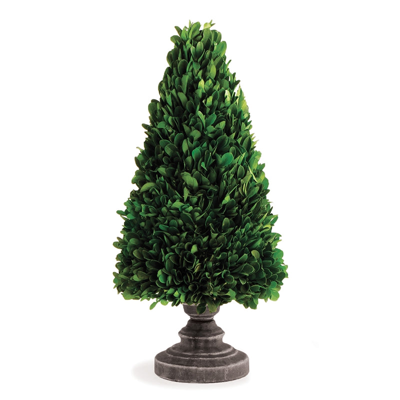 PG 14" CONE TOPIARY ON STAND