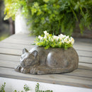 Napping Cat Planter,pha205