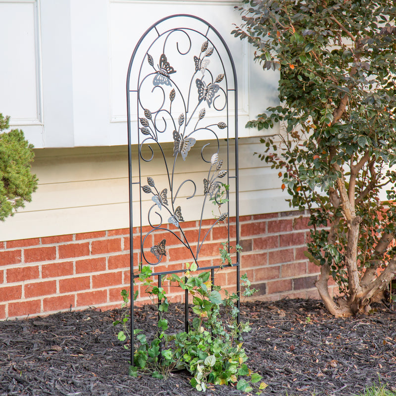 BUTTERFLY TRELLIS,q56141